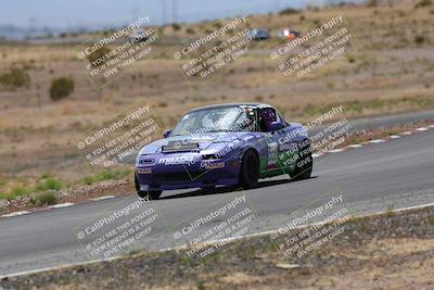 media/May-03-2025-Lucky Dog Racing (Sat) [[206de64b9d]]/Turn 6 (150pm-230pm)/